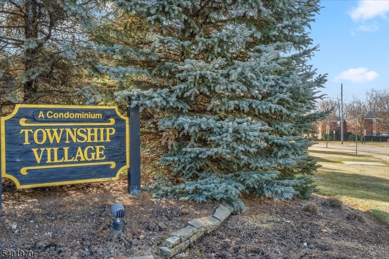 Township Village - Residential