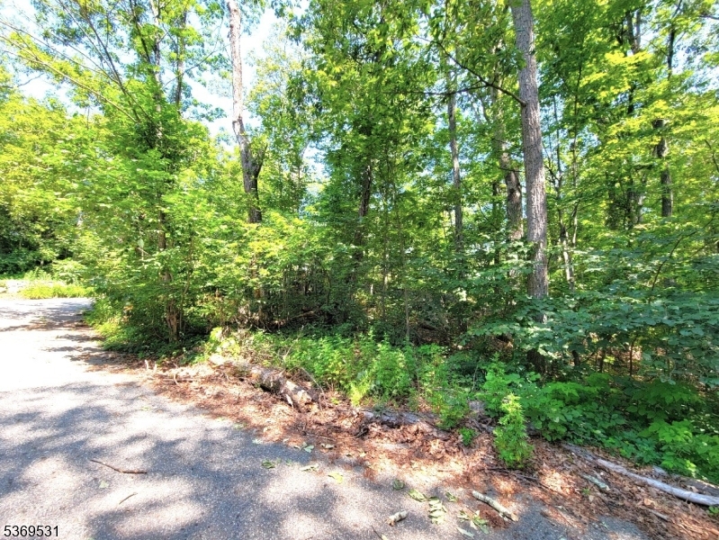 Upper Greenwood Lake - Land