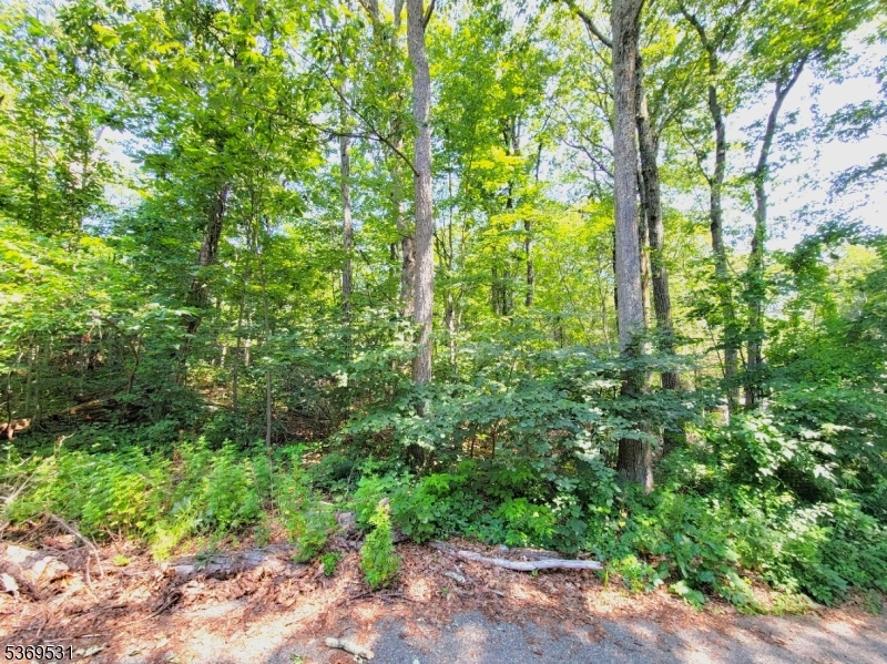 Upper Greenwood Lake - Land