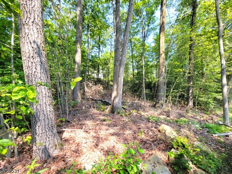 Upper Greenwood Lake - Land