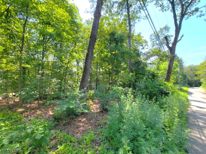 Upper Greenwood Lake - Land