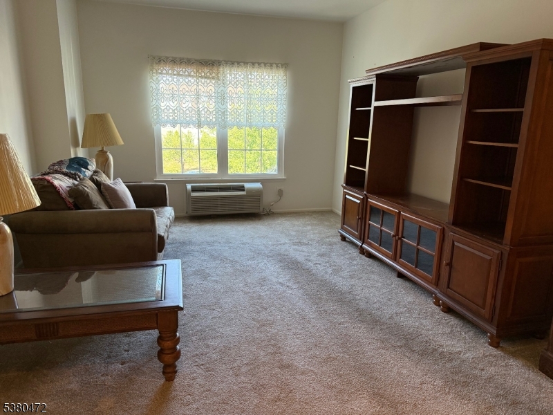 Bald Eagle Commons - Residential