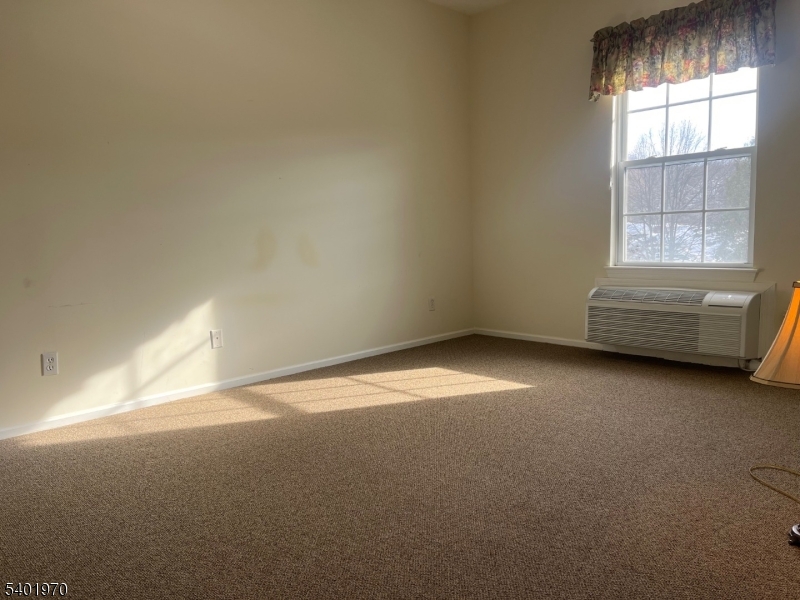 Bald Eagle - Residential