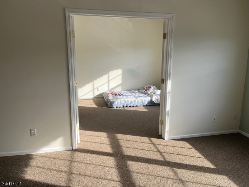 Bald Eagle - Residential