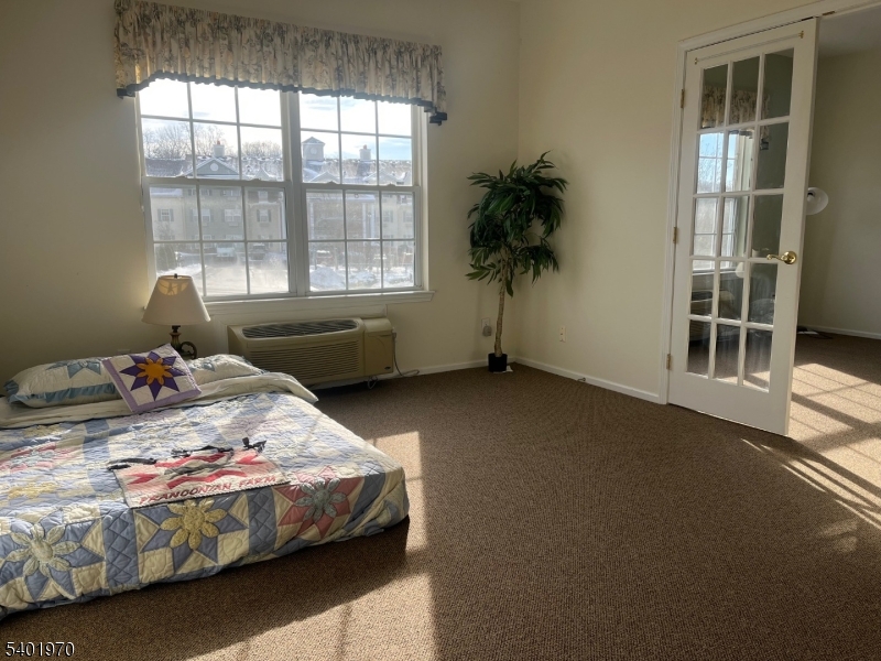 Bald Eagle - Residential