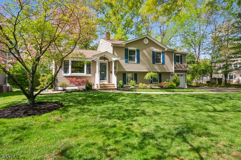 47 Dogwood Ln