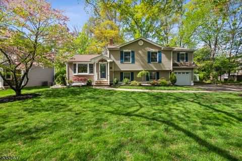 47 Dogwood Ln New Providence Boro NJ 07974