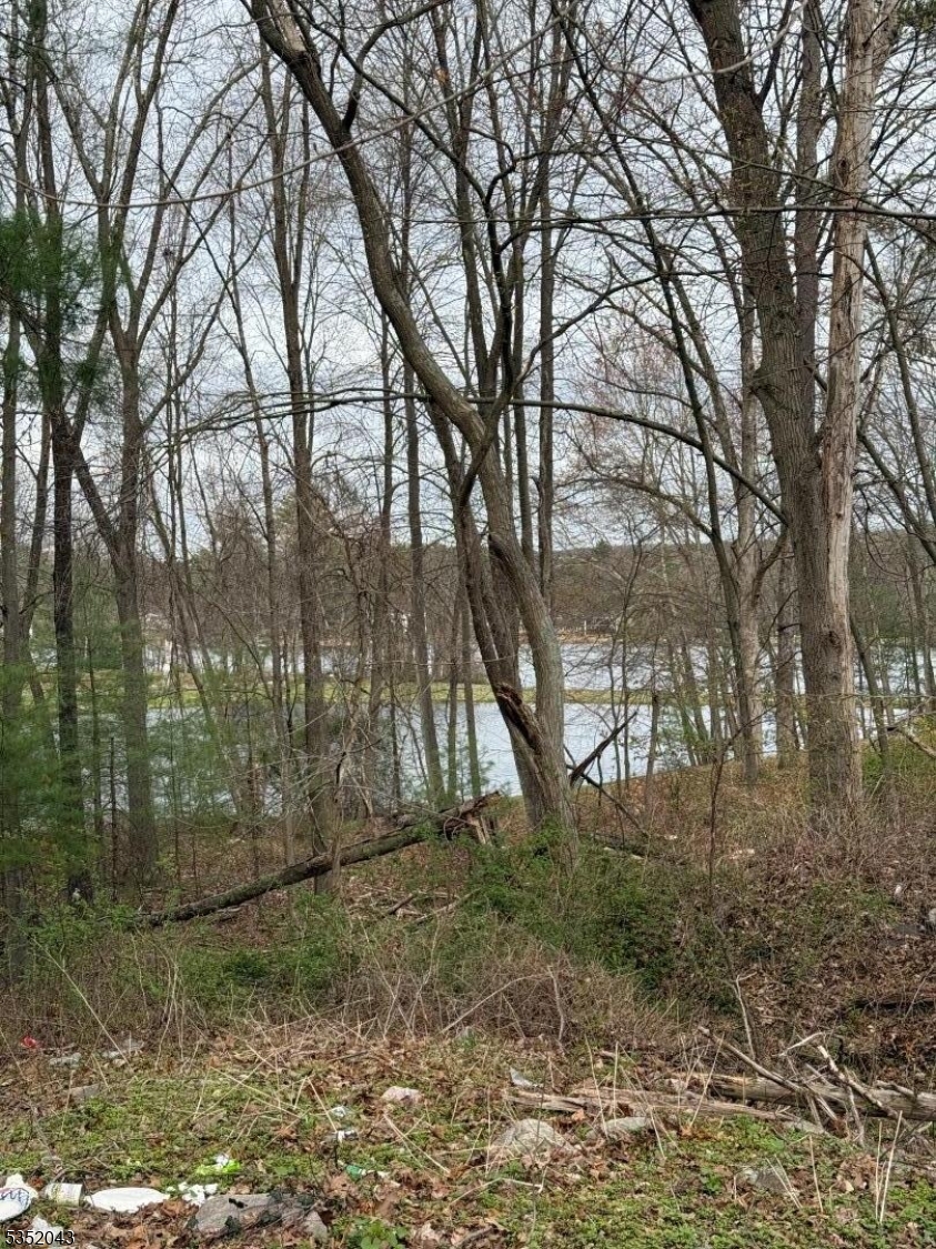 Holiday Lakes - Land