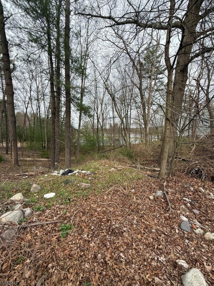 Holiday Lakes - Land