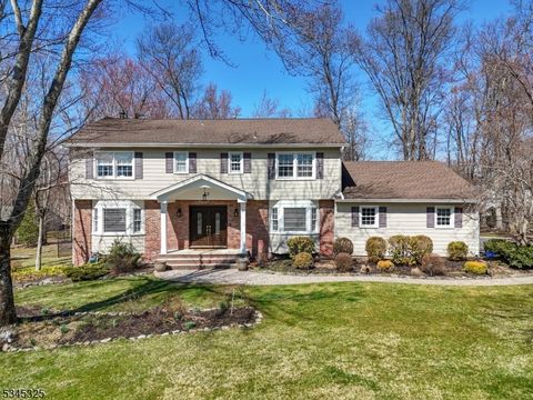 12 Flanders Dr Montville Twp. NJ 07058