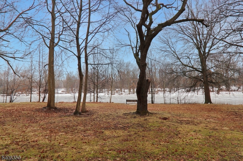 Munsee Pond - Residential