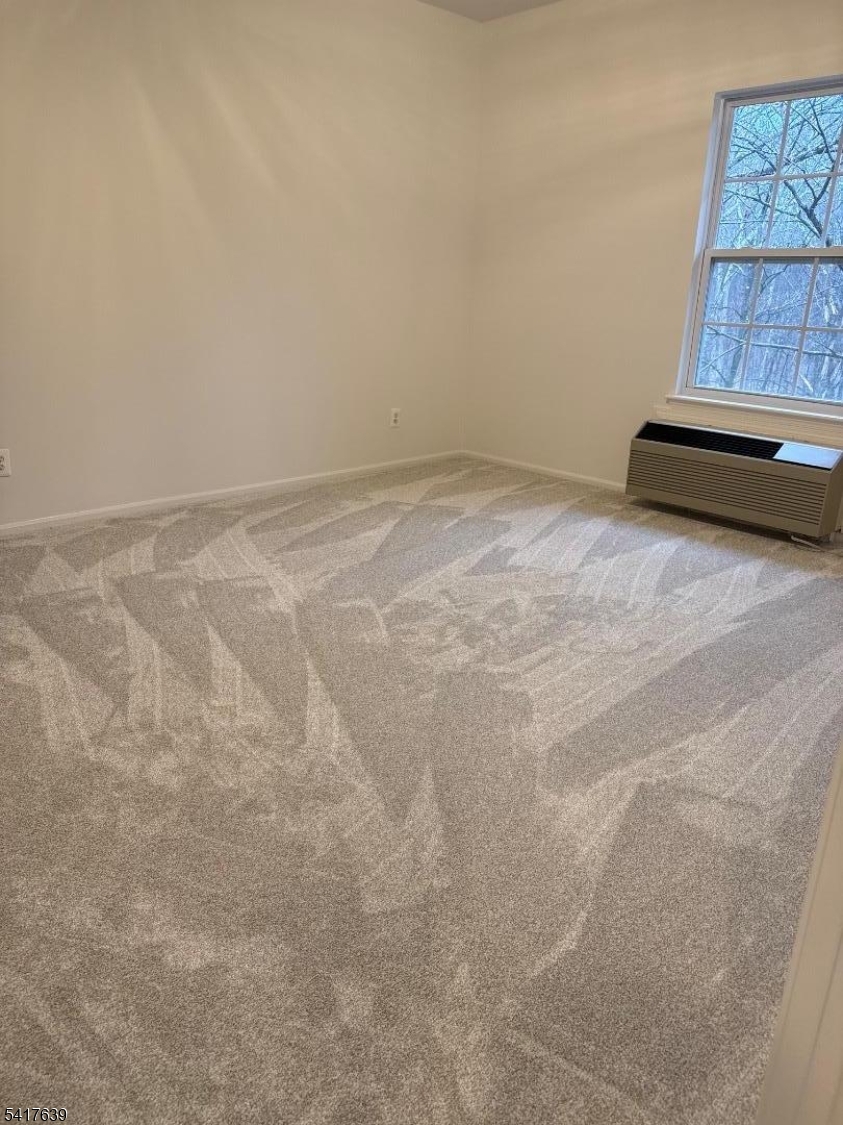 Bald Eagle Commons - Residential