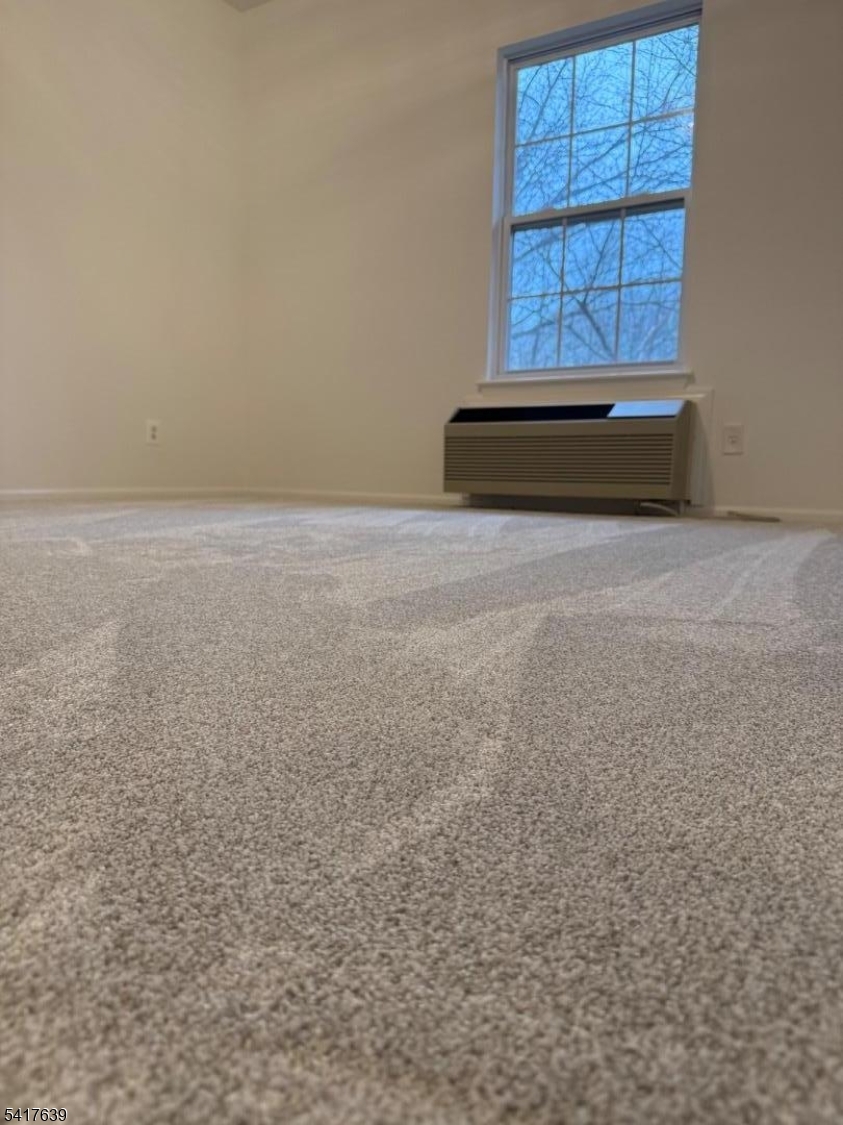 Bald Eagle Commons - Residential