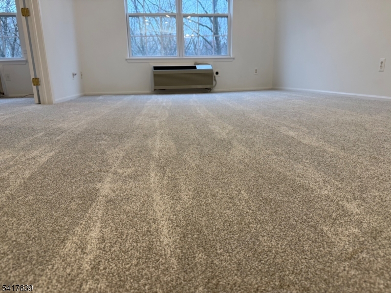 Bald Eagle Commons - Residential