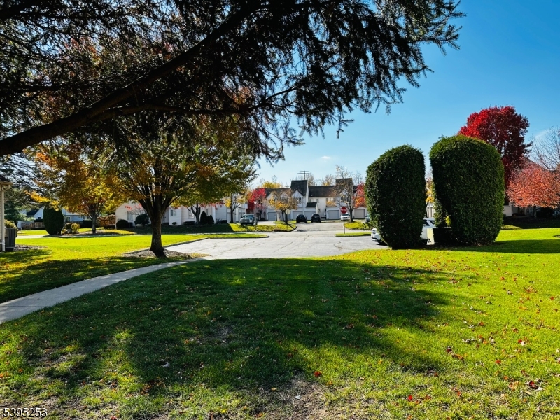 Meadows at montville - Residential