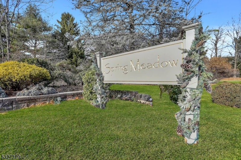 Spring Meadows - Residential