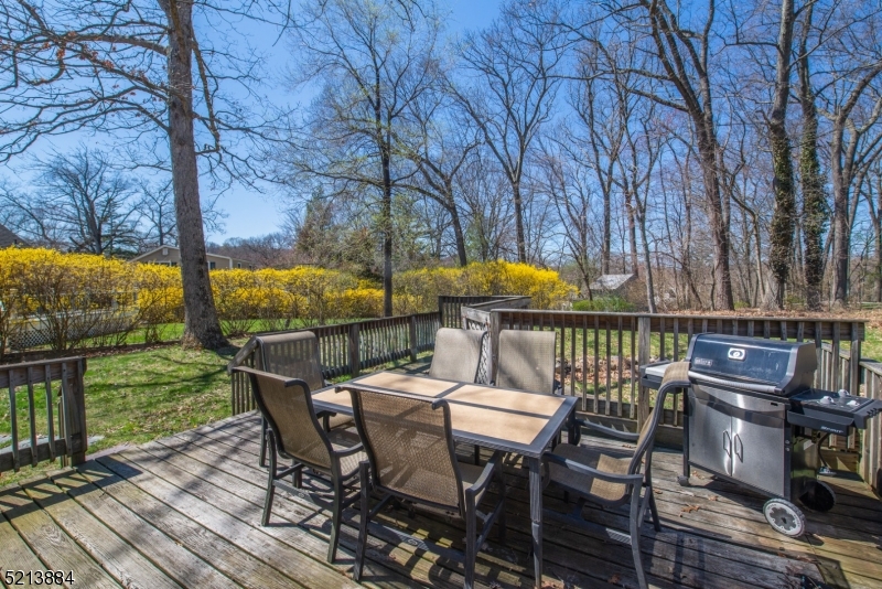 Indian Lake - Residential