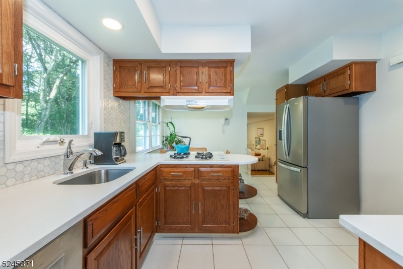 Shongum Lake - Residential