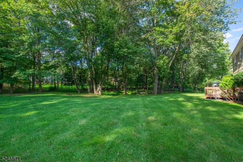 Shongum Lake - Residential