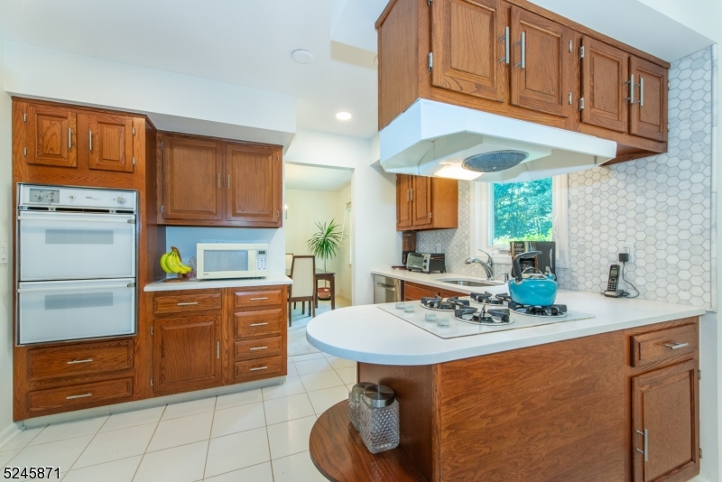 Shongum Lake - Residential