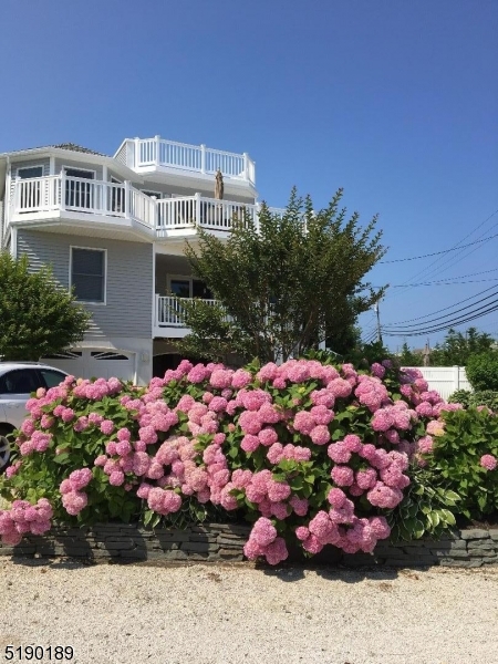 LoveLadies - Residential