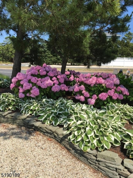 LoveLadies - Residential