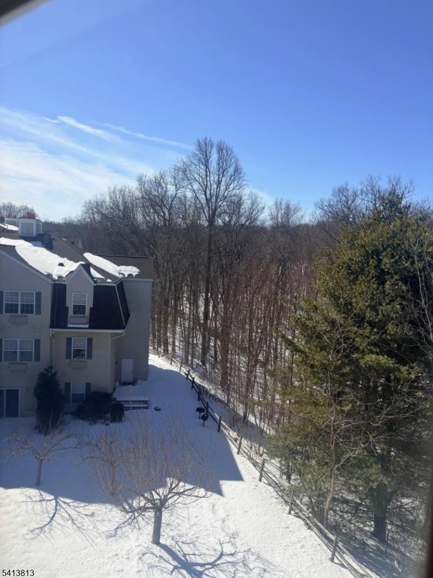 Bald Eagle Commons - Residential