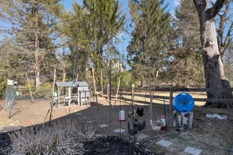 Neshanic Station - Residential