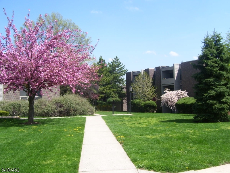 Arbor Hills Coop - Residential Lease