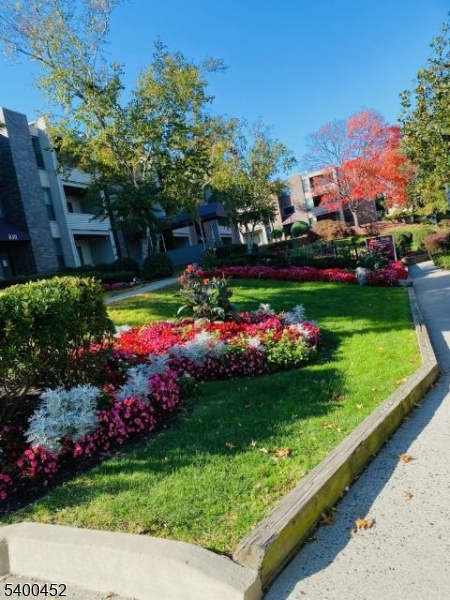 Arbor Hills Coop - Residential Lease