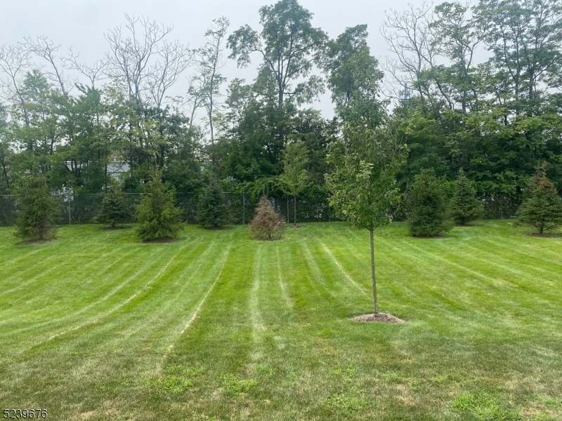 Collection at Morristown - Residential Lease