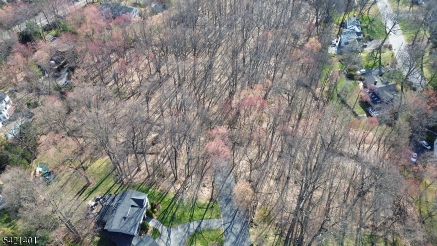 Experience the rarest of opportunities to create a legacy estate in one of Woodcliff Lake?s most premier neighborhoods. Set on a breathtaking 4.9-acre park-like expanse, this magnificent property offers the perfect blend of absolute privacy and everyday convenience. What sets this property apart is a complete, construction-ready architectural plan featuring over 7200 sq ft of designed living space across three levels, along with a NJDEP permit in hand through Dec 2027, giving a buyer complete freedom to design the outdoor lifestyle they envision including a pool, outdoor kitchen, cabana, sport court or more. Imagine a life where you wake up to serene wooded views from every window and a place you can host grand gathering or intimate evenings under the stars with acres of natural woodland to explore at your doorstep. Whether you choose to utilize the already completed architectural plans or design a bespoke masterpiece from the ground up, this property is a true retreat for the soul. Beyond the tranquil, scenic borders of your private sanctuary, you?ll enjoy the very best amenities nearby?from the top-rated schools and award-winning Pascack Hills High School to upscale shopping at Tice?s Corner, to the vibrant Westwood and Ridgewood dining scene and the hustling breweries of Pearl River. With close proximity to houses of worship, local parks, and the vibrant community spirit that defines this town, this is a one-of-a-kind canvas to build the sanctuary you?ve always dreamed of.