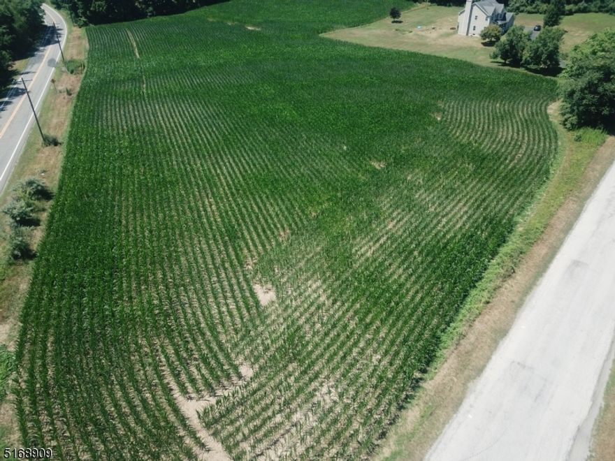 2.39 ACRES on a CORNER LOT with roughly 800 FEET of ROAD FRONTAGE! Open lot currently being used for corn crop. Property borders lot 4.05 (MLS # 3798798), also listed for sale. Purchase both to have almost 5 PRISTINE acres!