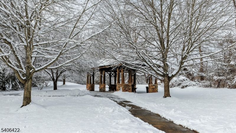 Walnut Brook - Residential