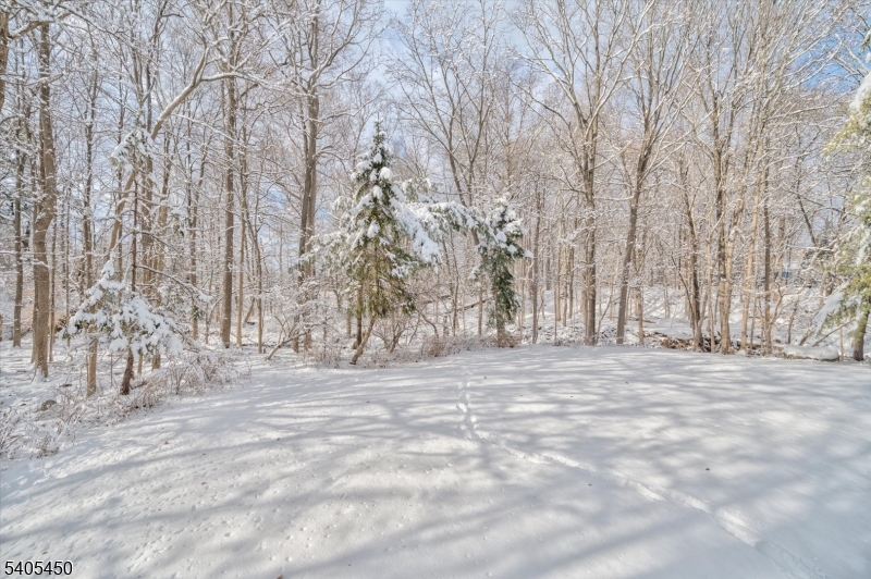 Paradise Place - Residential