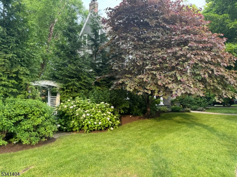 The Hill - Residential