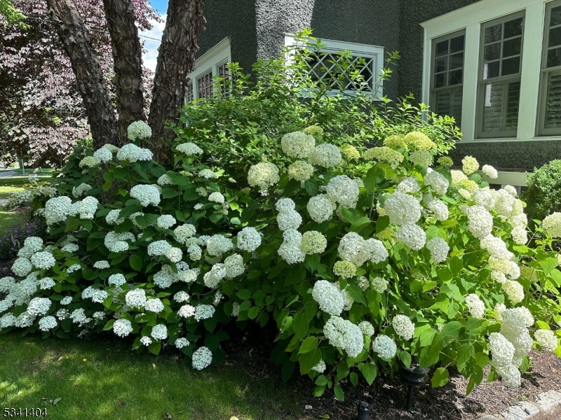 The Hill - Residential