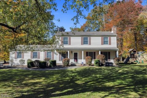 24 Pheasant Dr Washington Twp. NJ 07853