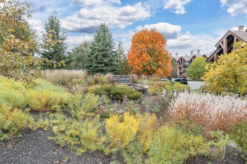 Crystal Springs - Residential