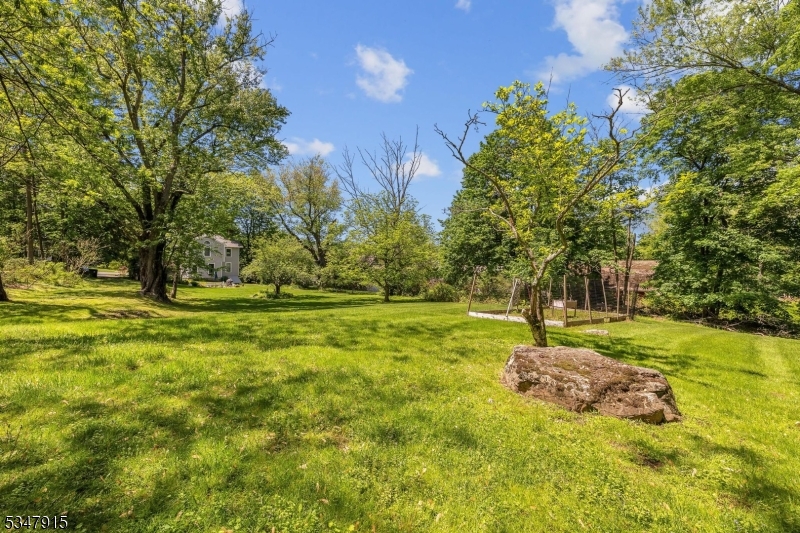 Downtown Califon - Residential