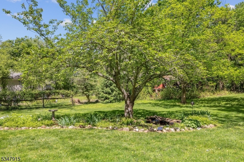 Downtown Califon - Residential