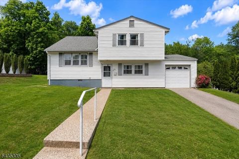 173 E Central Ave, Wharton Boro, NJ 07885 - #: 4030649