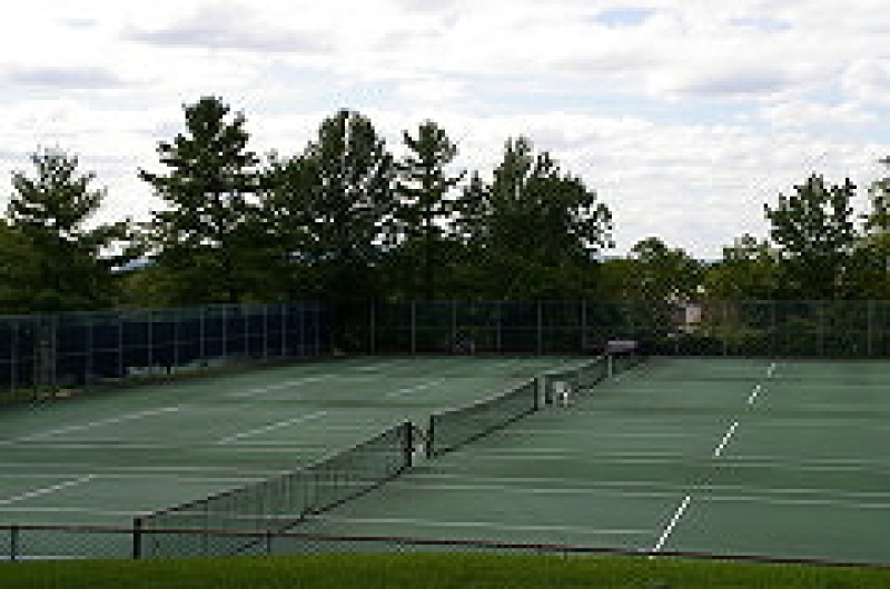 The Hills-Pinevale Section - Residential Lease