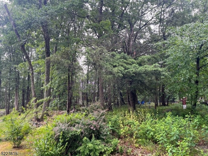 Great opportunity to build a single family residential home in a nice quiet neighborhood. Building to be built must meet Vernon set back standards which is 40ft front, 25ft rear, 10ft both sides.