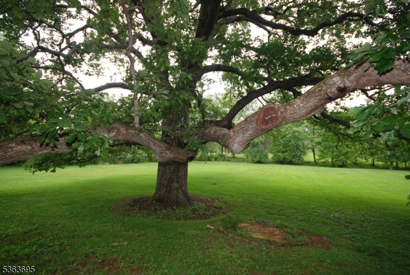 Residential - Residential