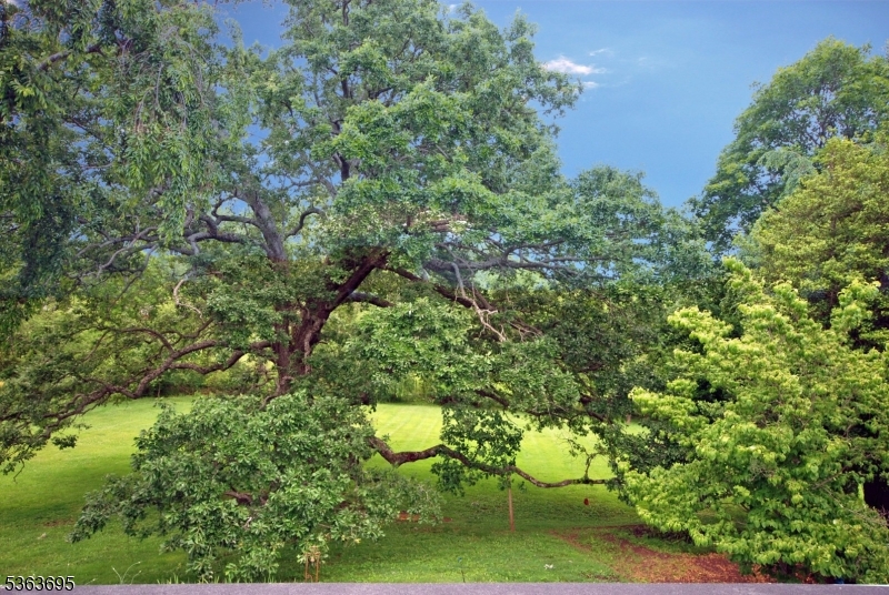 Residential - Residential