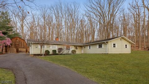 16 Green Valley Dr, Green Brook Twp., NJ 08812 - #: 3895730