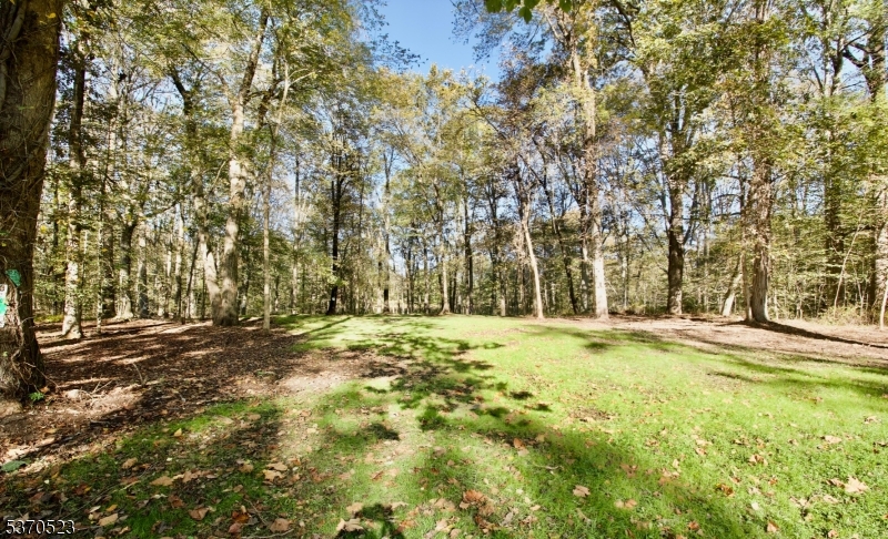 GREEN VILLAGE - Residential