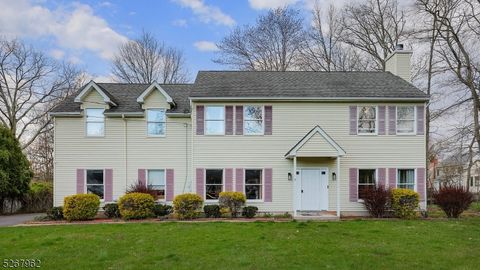 5 Hudson St, Bridgewater Twp., NJ 08807 - #: 3907580