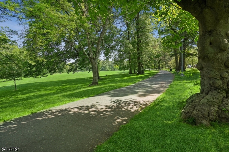 Upper Montclair - Residential